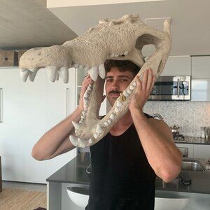 Meet your Posher, Bennett